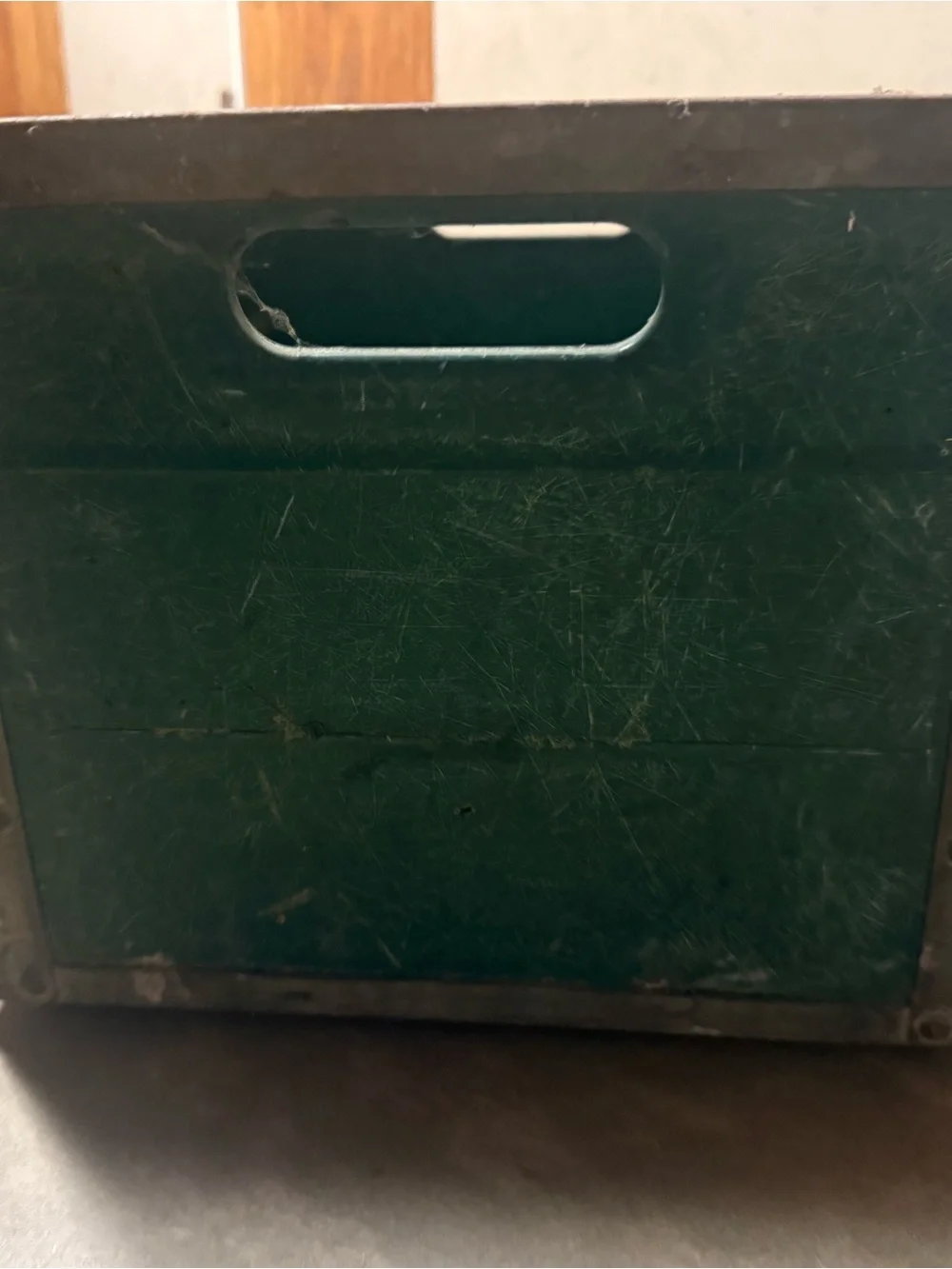 Green Pantique Storage Crate with Built-In Handle Pines Dairy